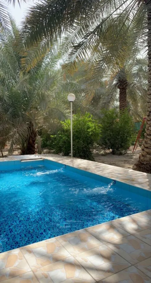 Vente Appartement F6 Alger Said hamdine