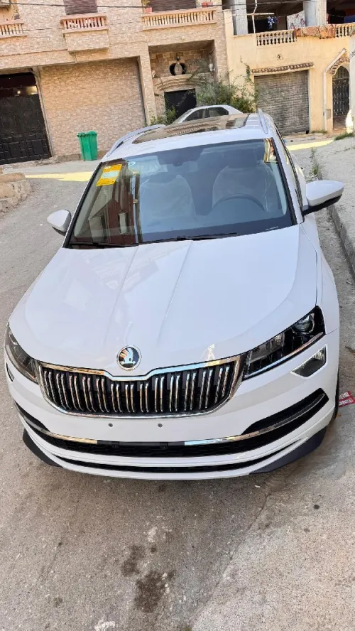 Skoda Karoq 2025 