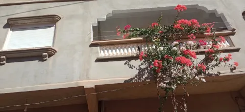 Vente Appartement F5 Relizane Djidioua