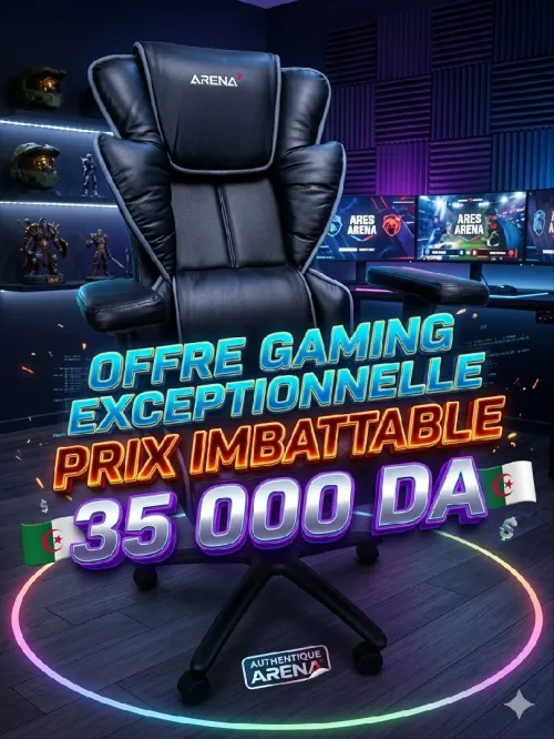 Chaises gaming arena