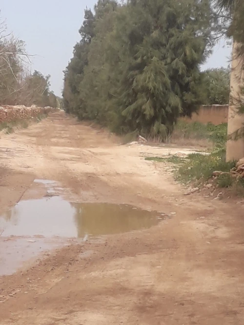 Vente Terrain Agricole Djelfa Ain oussara