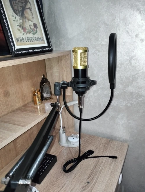 Micro BM800 neuf + accessoires (qualité pro)