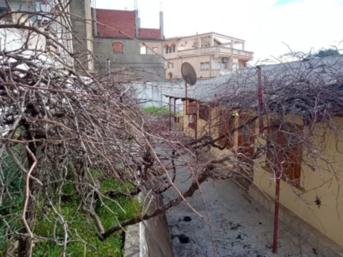 Vente Terrain Skikda Skikda