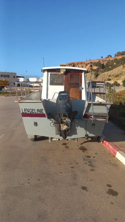 Timonier ocqueteau