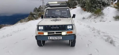 Toyota Land Cruiser 1994 Court