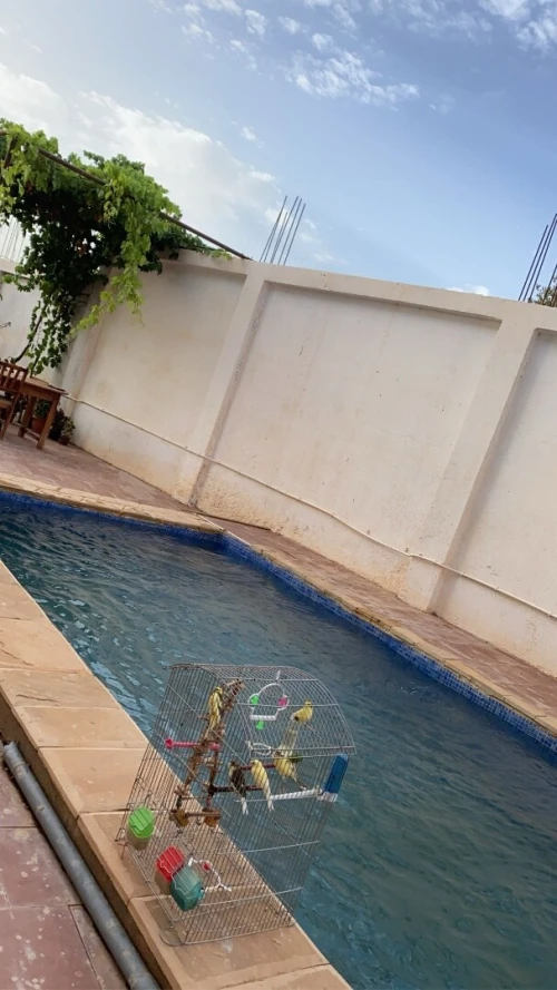 Location Local Tlemcen Ain fezza