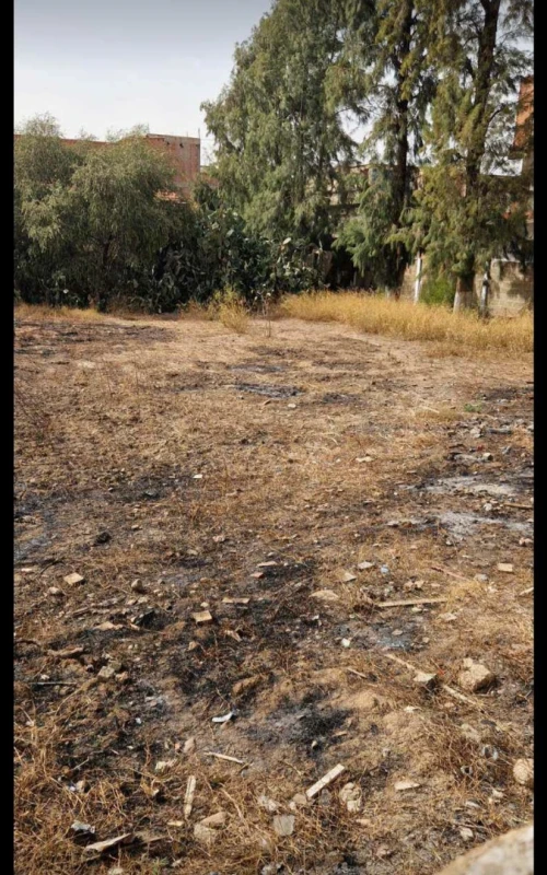 Vente Terrain Blida Larbaa