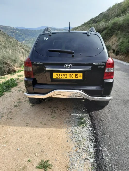Hyundai Tucson 2010 Tucson