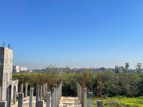Vente Terrain Blida Boufarik