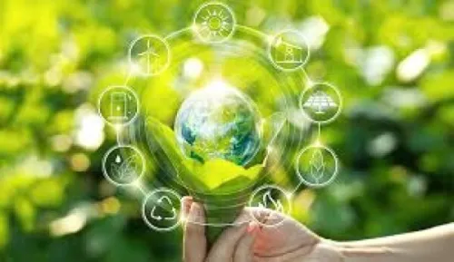 Etudes Environnementales et Accompagnement technique