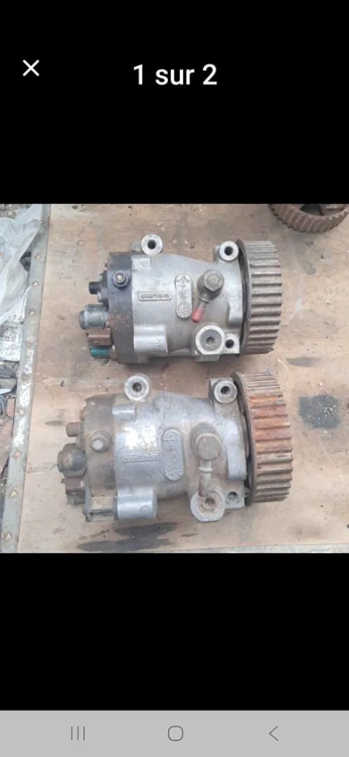 Hamadi alger