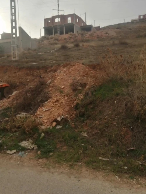 Vente Terrain Mila Sidi khelifa