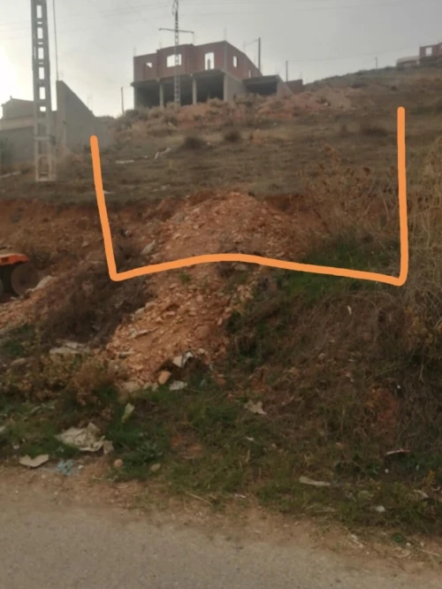 Vente Terrain Mila Sidi khelifa