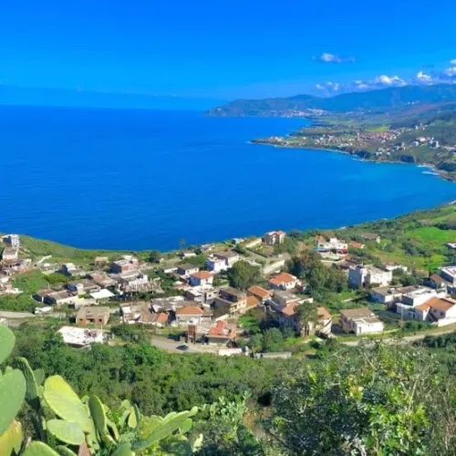 Vente Terrain Tizi Ouzou Azeffoun