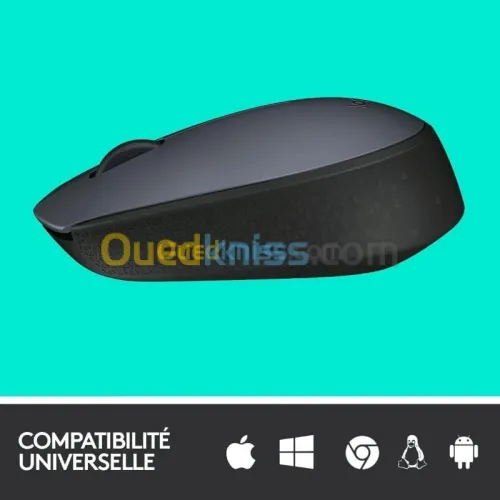 Logitech M170 Wireless Mouse Souris sans fil - ambidextre - capteur optique - 3 boutons