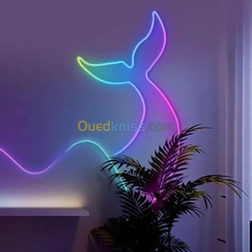 GOVEE RGBIC LED NEON ROPE LIGHT - H61A0 - ENERGY CLASS - 3M 10FT - COLOR-MATCH - CONTRÔLE VOCAL +APP