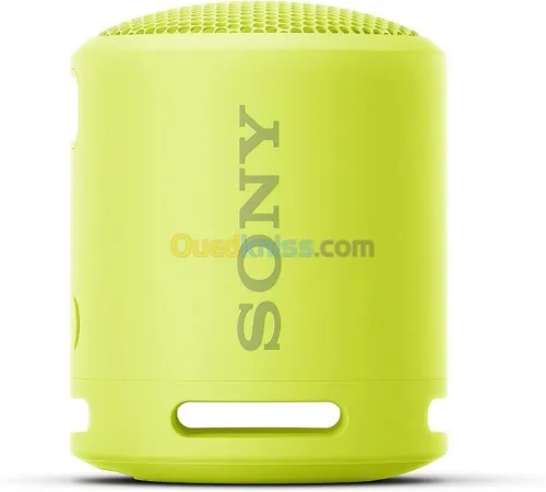 Sony SRS-XB13 ENCEINTES sans fil compatible Bluetooth Type-C bleu poudré - Vert Citron - rose corail