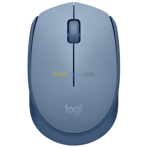 LOGITECH M171 WIRELESS MOUSE - SOURIS SANS FIL - AMBIDEXTRE - USB 2.4 GHZ - CAPTEUR OPTIQUE - 3 BOUTONS - BLEU & GRIS