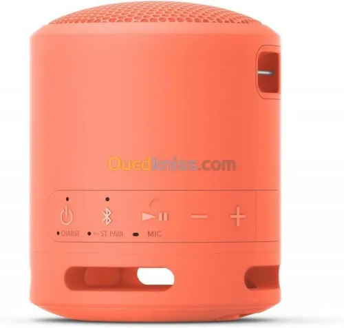 Sony SRS-XB13 ENCEINTES sans fil compatible Bluetooth Type-C bleu poudré - Vert Citron - rose corail