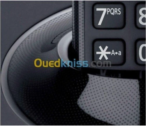 Panasonic Sans Fil KX-TG1711