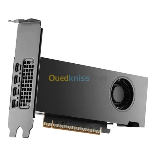 PNY RTX PRO 2000 BLACKWELL - CARTE GRAPHIQUE NVIDIA RTX PRO 2000 - 16GB GDDR7 AI - PCIE X16 - RAY TRACING - NOIR