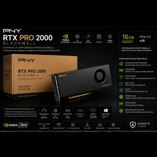 PNY RTX PRO 2000 BLACKWELL - CARTE GRAPHIQUE NVIDIA RTX PRO 2000 - 16GB GDDR7 AI - PCIE X16 - RAY TRACING - NOIR