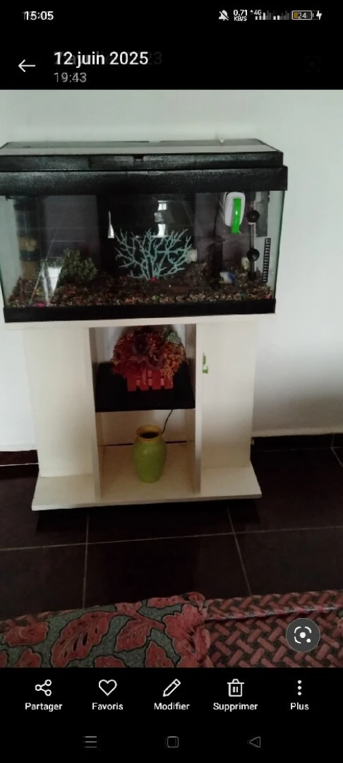 Aquarium