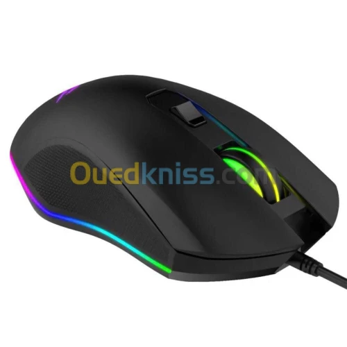 Souris gamer 