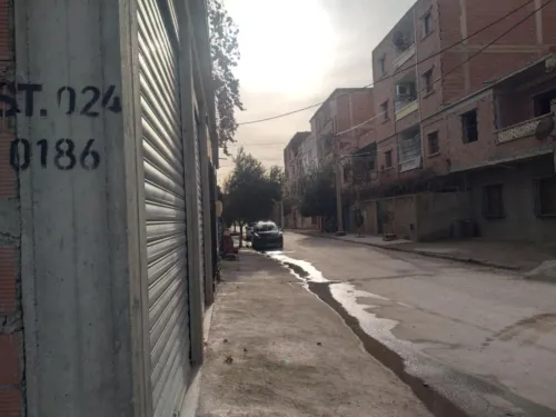 Vente Villa Mila Oued endja