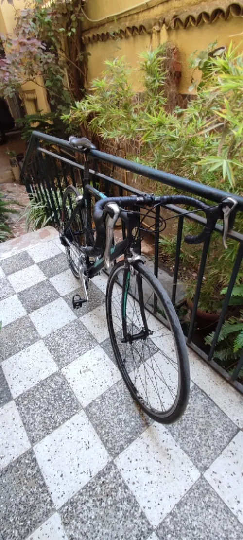 vélo course bianchi carbon 