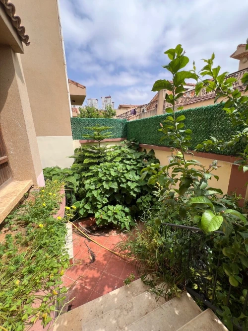 Location Villa Alger Birkhadem