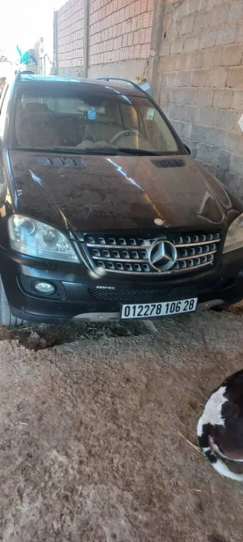 Mercedes ML 2006 Ml 320