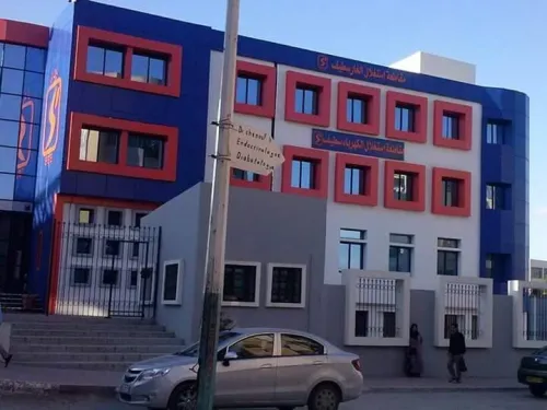 Mur rideau VEC vep et porte et fenêtre pvc et Alu