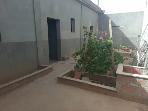 Vente Immeuble Tébessa Tlidjene