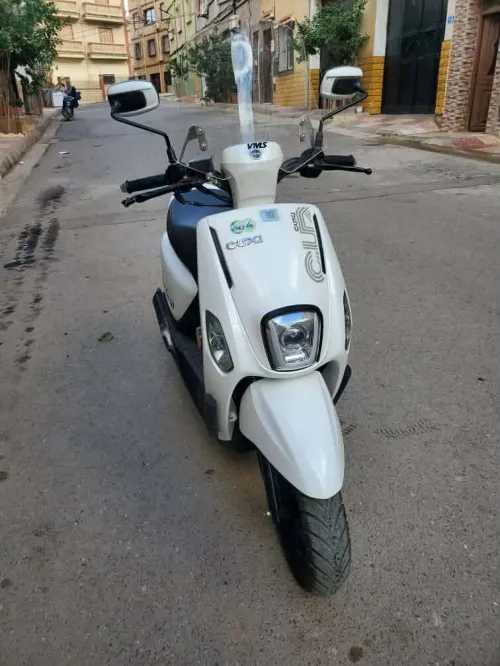 Cuxi 2 2025