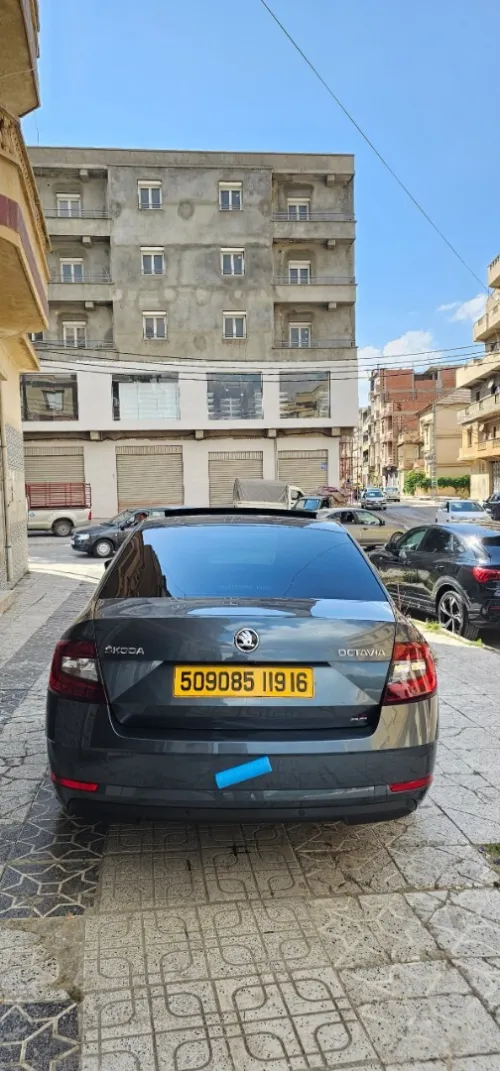 Skoda Octavia 2019 Clever