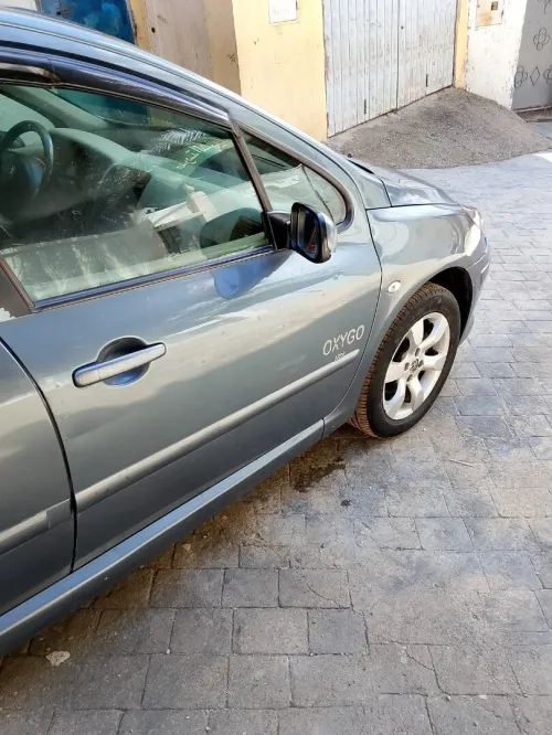 Peugeot 307 2007 Oxygo