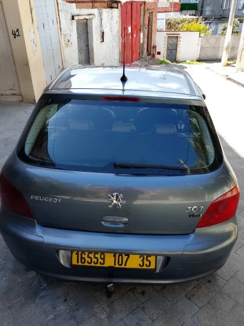 Peugeot 307 2007 Oxygo