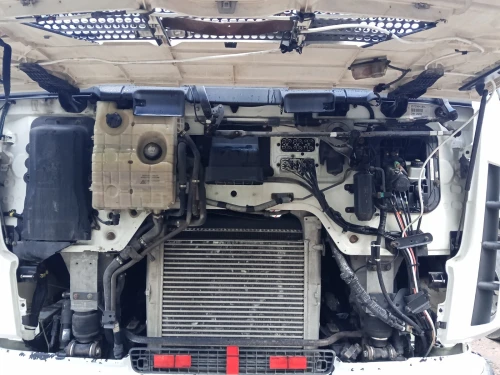 Renault Dxi 2008