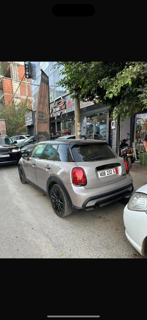 Mini Mini 2022 