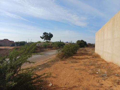 Vente Terrain Mostaganem Mesra