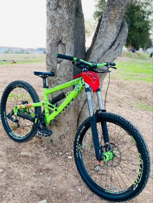 Dh scott fr 20