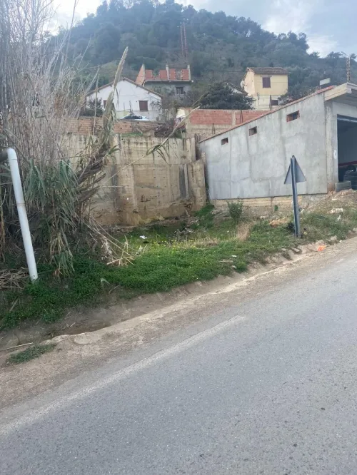 Vente Terrain Tipaza Larhat
