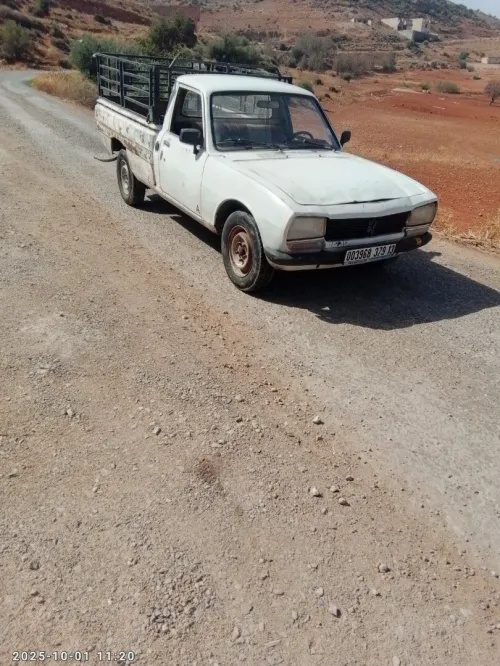 Peugeot 504 1979 