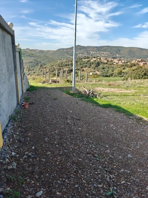 Vente Terrain Boumerdès Bouzegza keddara