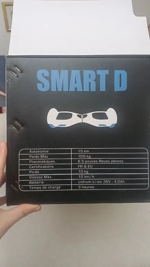 Hoverboard électrique