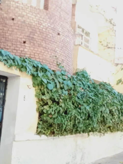 Vente Villa Tiaret Tiaret