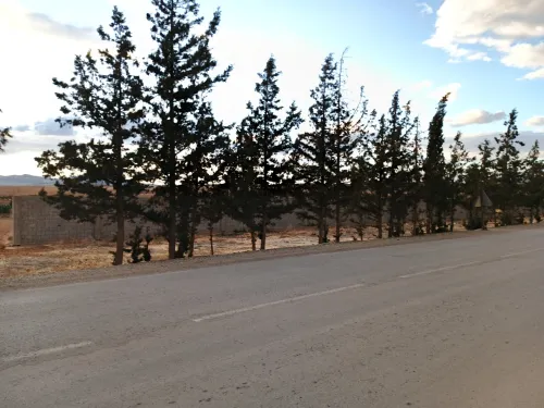 Vente Terrain Agricole Tébessa Bir Dheb
