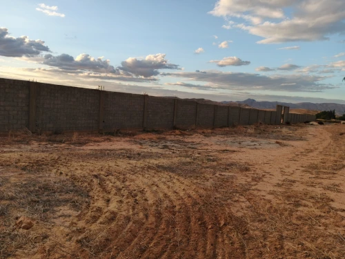 Vente Terrain Agricole Tébessa Bir Dheb