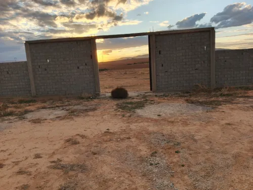 Vente Terrain Agricole Tébessa Bir Dheb